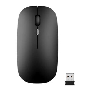 Mouse
