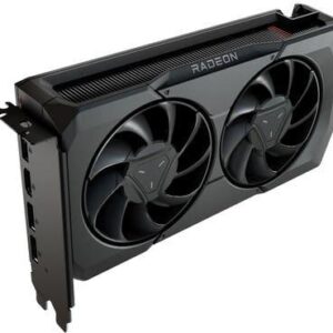 Graphics Card (GPU)